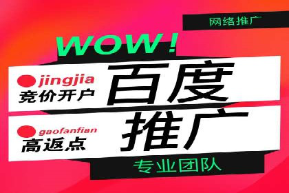百度推广策略：案例分析如何实现转化